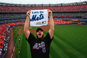 MetsGame