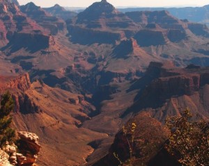 One of so many amazing views of the Grand Canyon